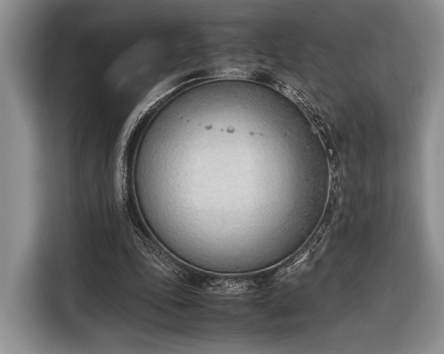 X0000116330343200912091043