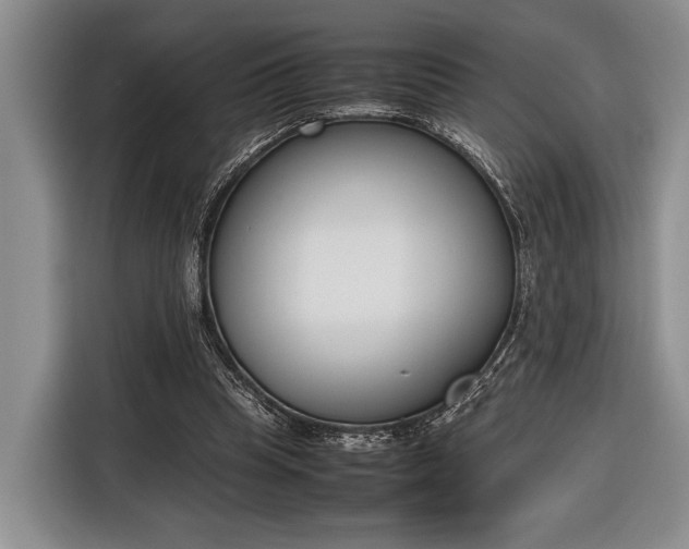 X0000116330345200912091043