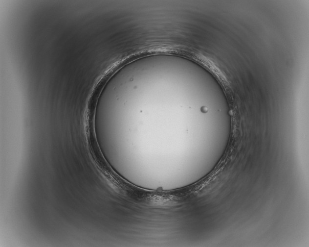 X0000116330346200912091044