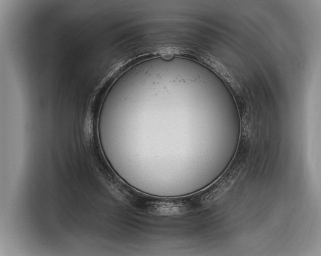 X0000116330347200912091044