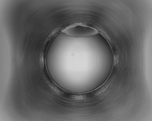 X0000116330349200912091044