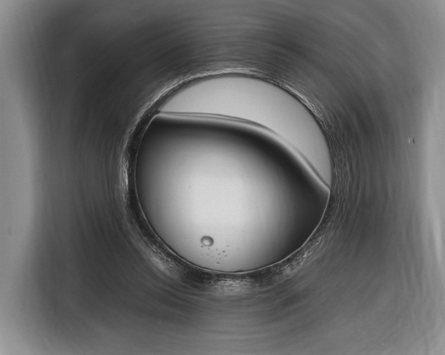 X0000116330350200912091044