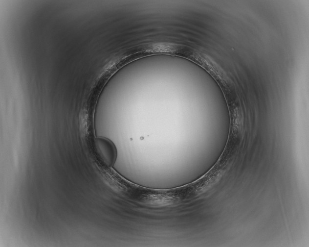 X0000116330351200912091044