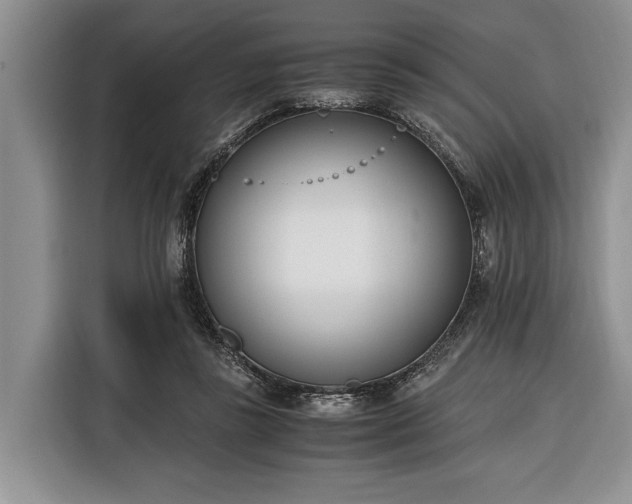 X0000116330355200912091044
