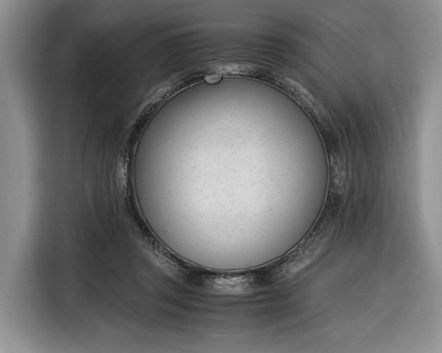 X0000116330357200912091044