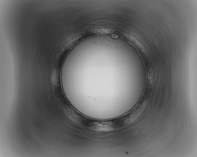 X0000116330359200912091044