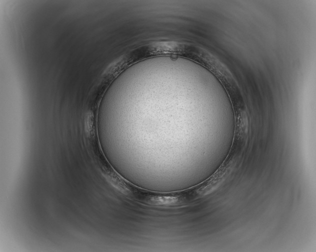 X0000116330361200912091044