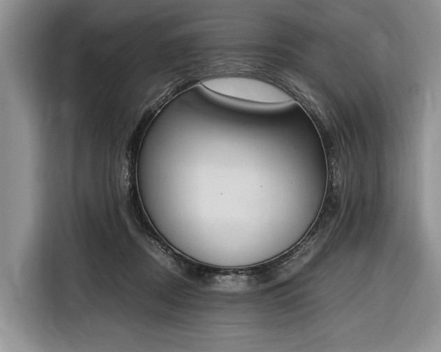 X0000116330362200912091044