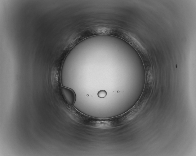 X0000116330363200912091044