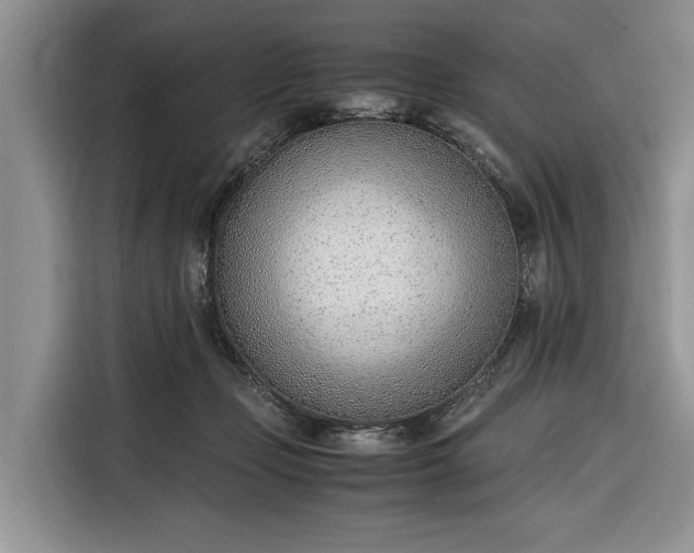 X0000116330365200912091044