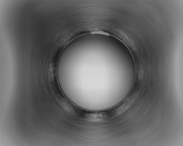 X0000116330366200912091044