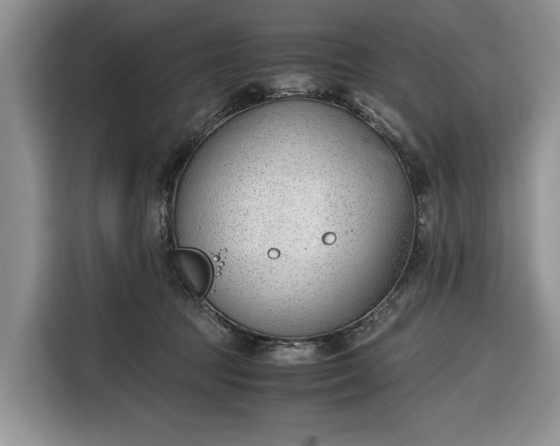 X0000116330369200912091044