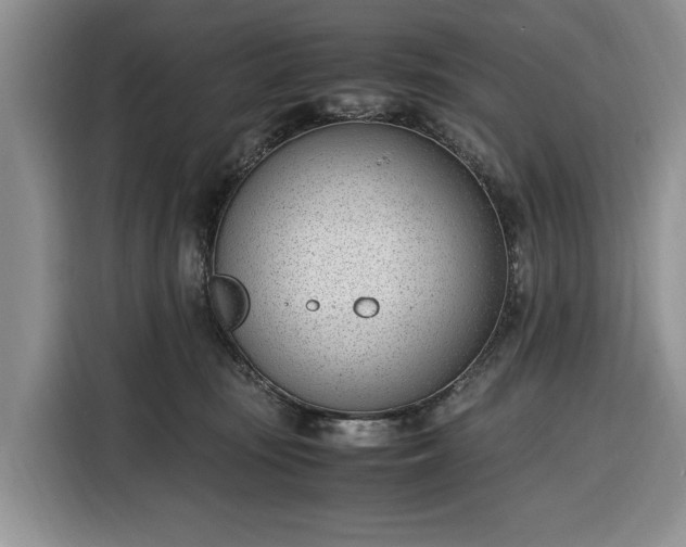 X0000116330371200912091044