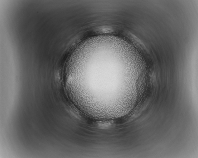 X0000116330373200912091044