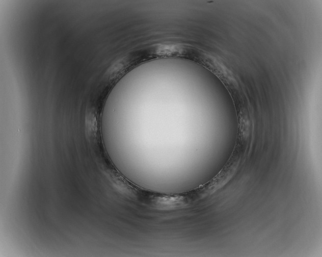 X0000116330375200912091044