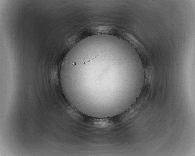 X0000116330377200912091044