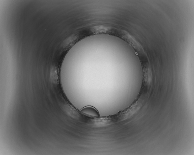 X0000116330378200912091044