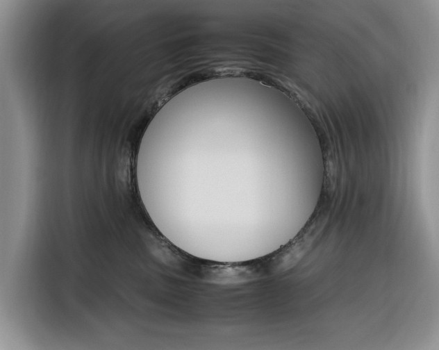 X0000116330379200912091044