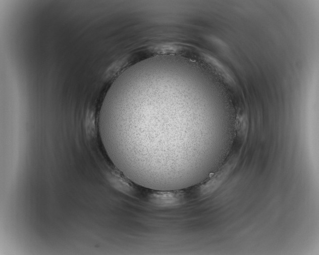 X0000116330381200912091044