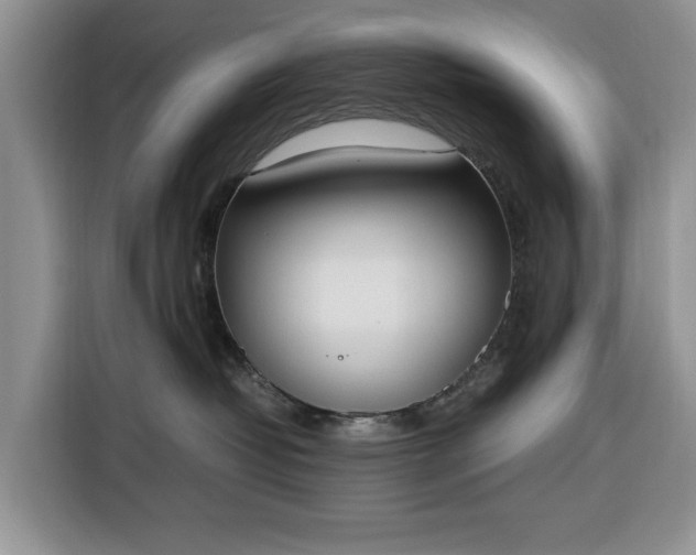 X0000116330382200912091044