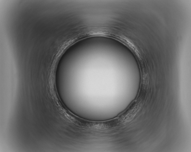 X0000116330385200912091043