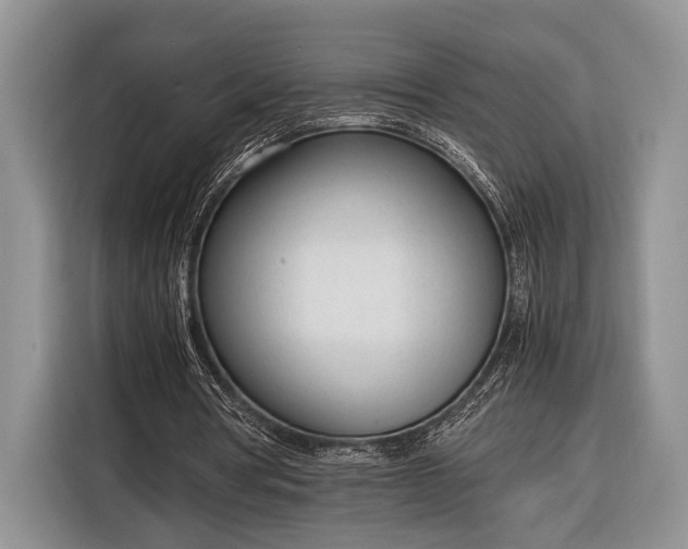 X0000116330386200912091043