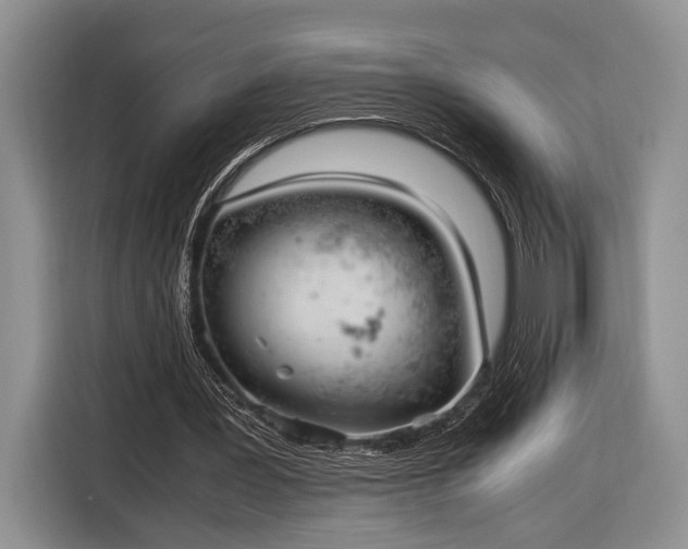 X0000116330387200912091043