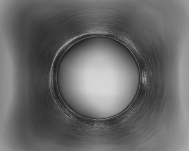 X0000116330388200912091043