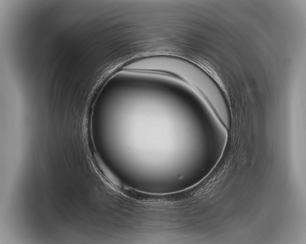 X0000116330389200912091043