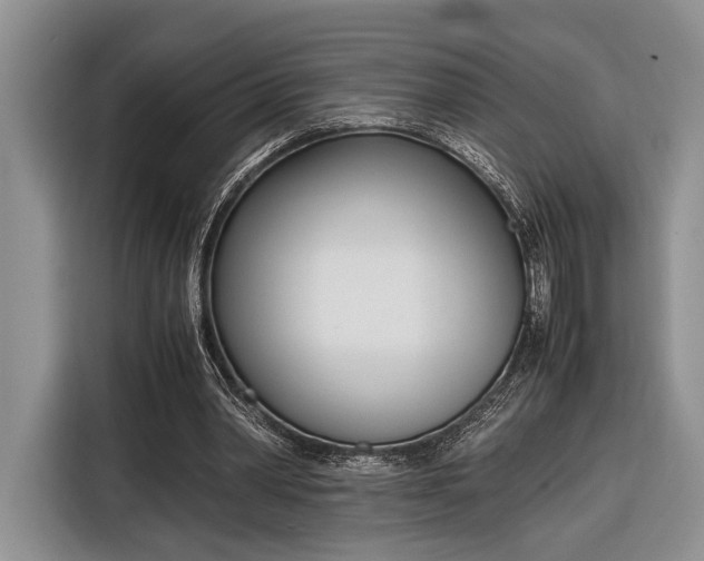 X0000116330390200912091043