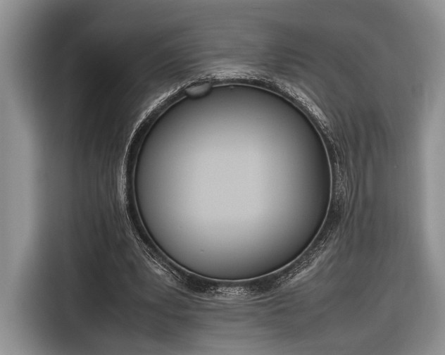 X0000116330391200912091043