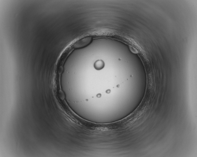 X0000116330392200912091043