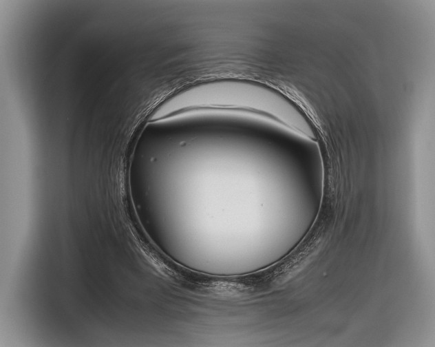 X0000116330393200912091043