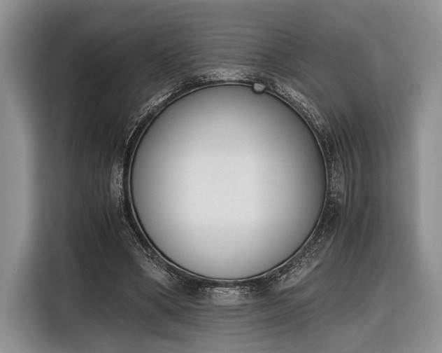 X0000116330394200912091043