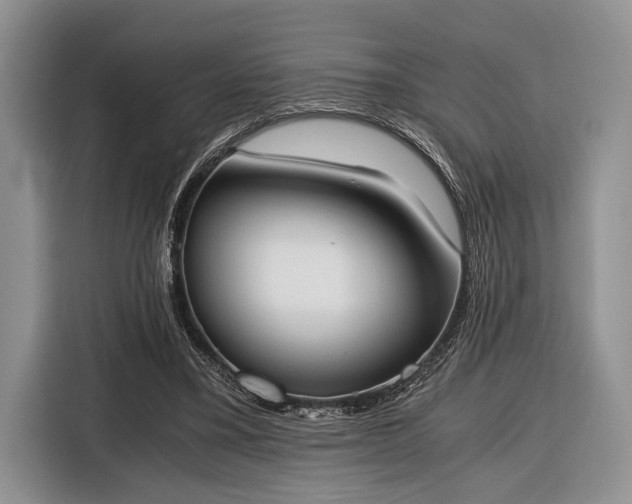 X0000116330395200912091043