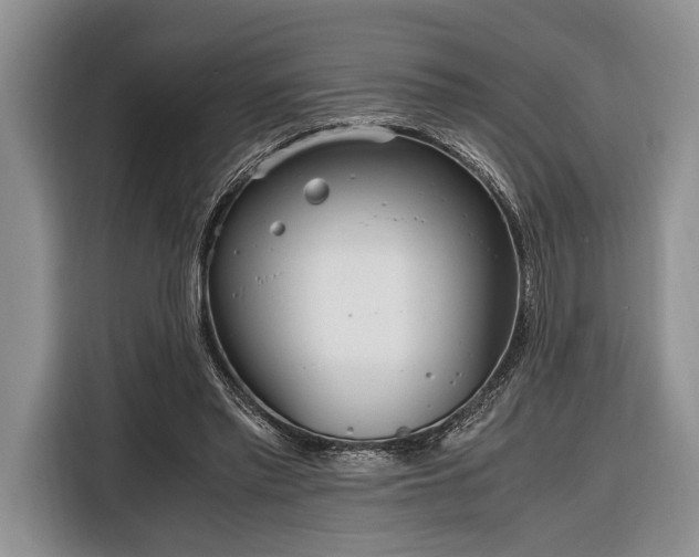 X0000116330397200912091043