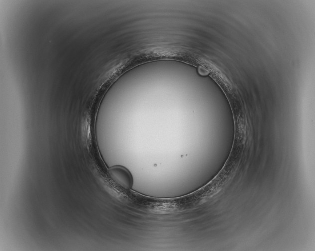 X0000116330398200912091043