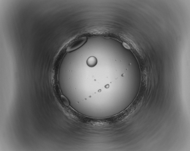 X0000116330400200912091043