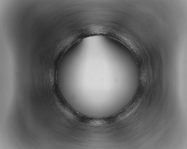 X0000116330402200912091043