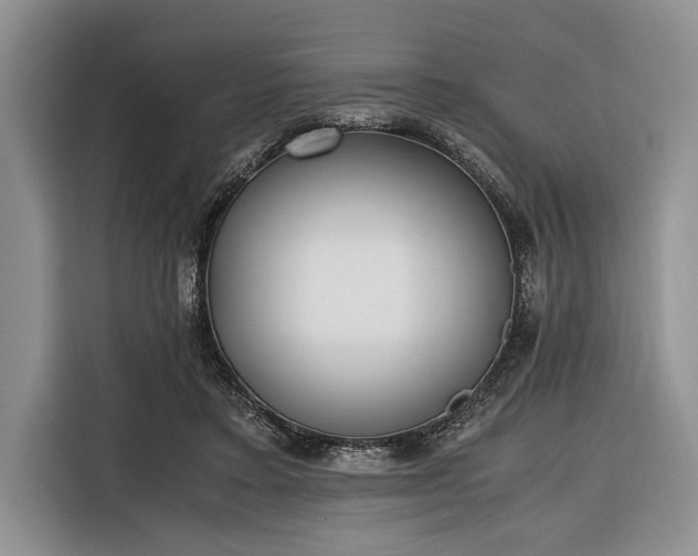 X0000116330403200912091043