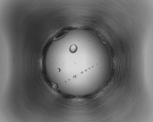X0000116330404200912091043