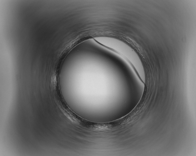 X0000116330405200912091043