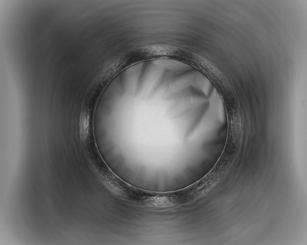 X0000116330406200912091043