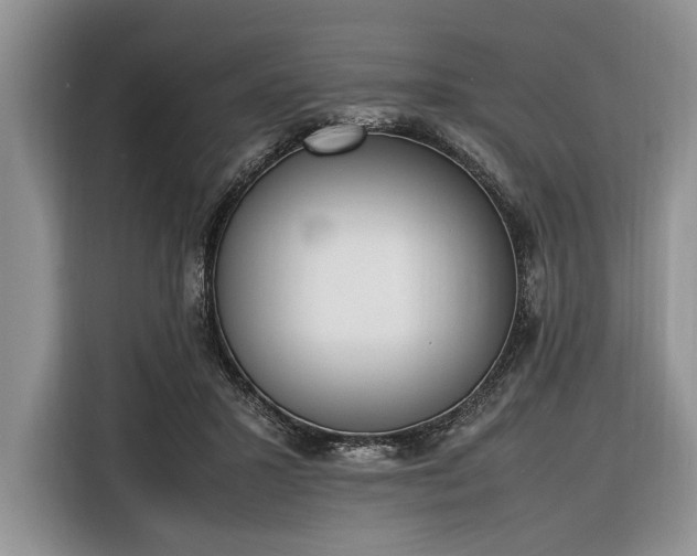 X0000116330407200912091043