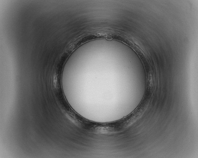 X0000116330408200912091043