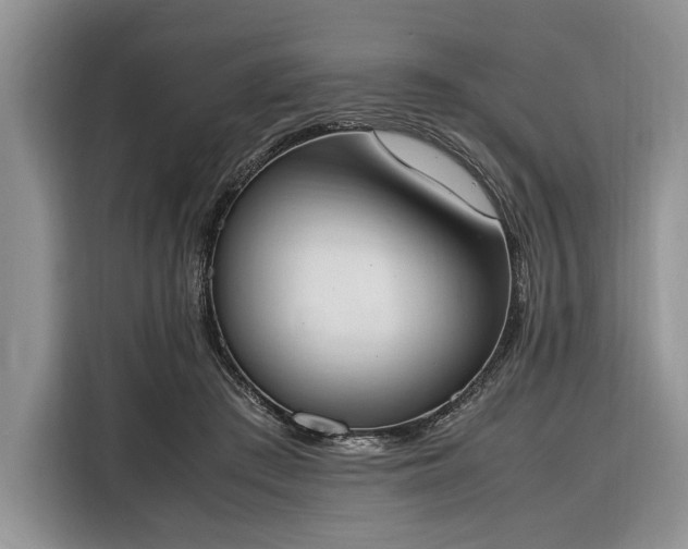 X0000116330409200912091043