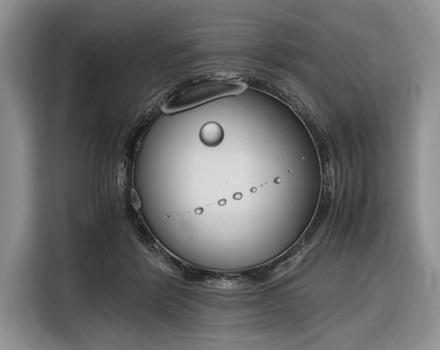 X0000116330412200912091043