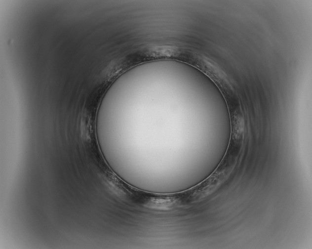 X0000116330414200912091043