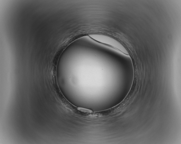 X0000116330415200912091043