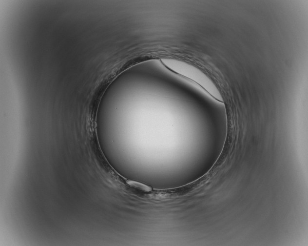 X0000116330419200912091043